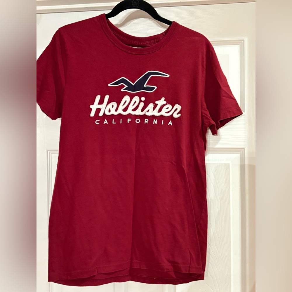Hollister tee, great shape non smoking home, size medium men’s